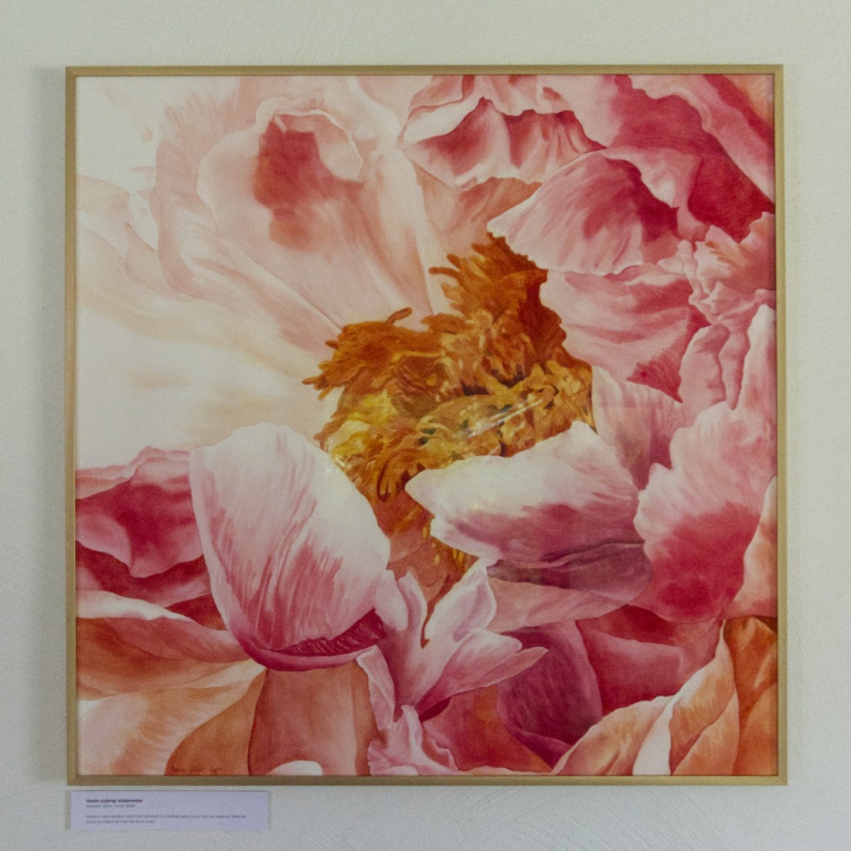 akvarellmaal Vaade pojengi südamesse raamiga