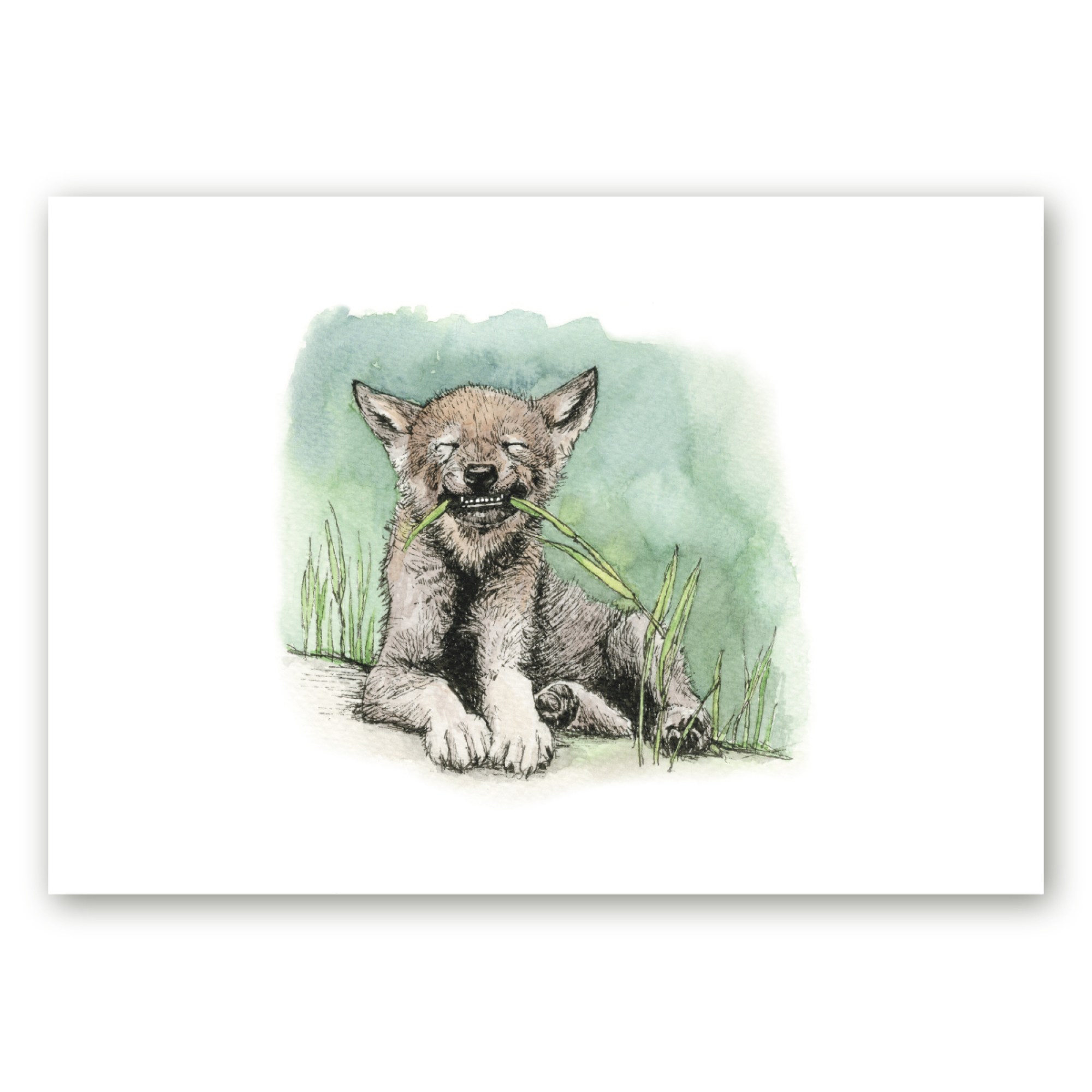 Poster hundikutsikaga, kes näitab hambaid ja on loodud kunstnik Maria Välja illustratsiooni põhjal.