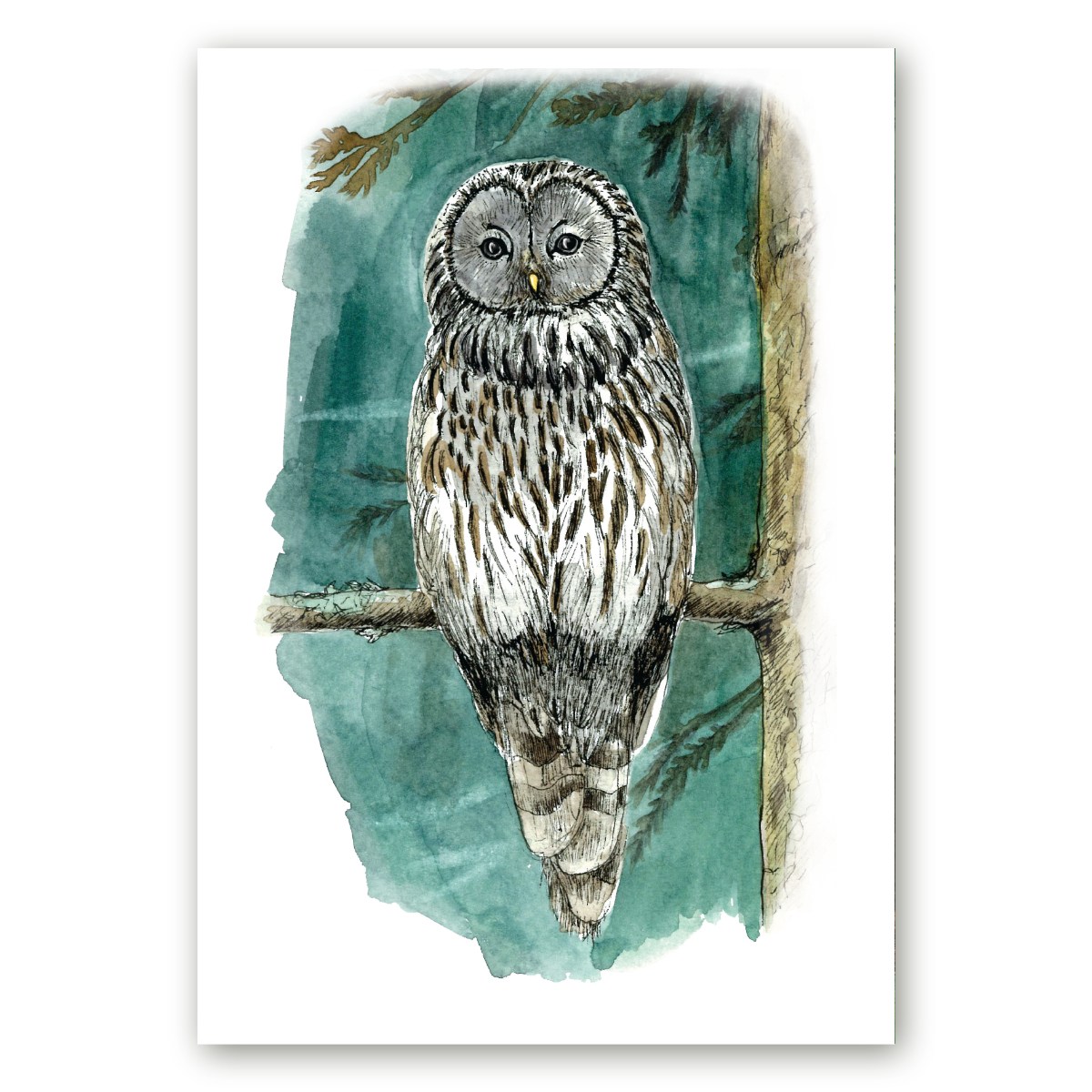 Linnuposter oksal istuvast händkakust, tehtud kunstnik Maria Välja akvarellillustratsiooni põhjal.