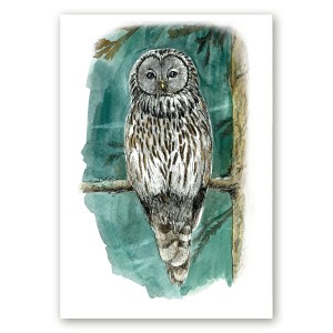 Linnuposter oksal istuvast händkakust, tehtud kunstnik Maria Välja akvarellillustratsiooni põhjal.