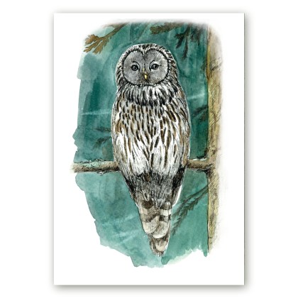 Linnuposter oksal istuvast händkakust, tehtud kunstnik Maria Välja akvarellillustratsiooni põhjal.