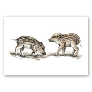 Poster illustratsioonist kahe metsseapõrsaga Maria Välja teose põhjal.