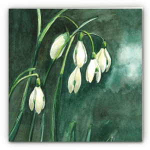 Õnnitluskaart lumikellukestega