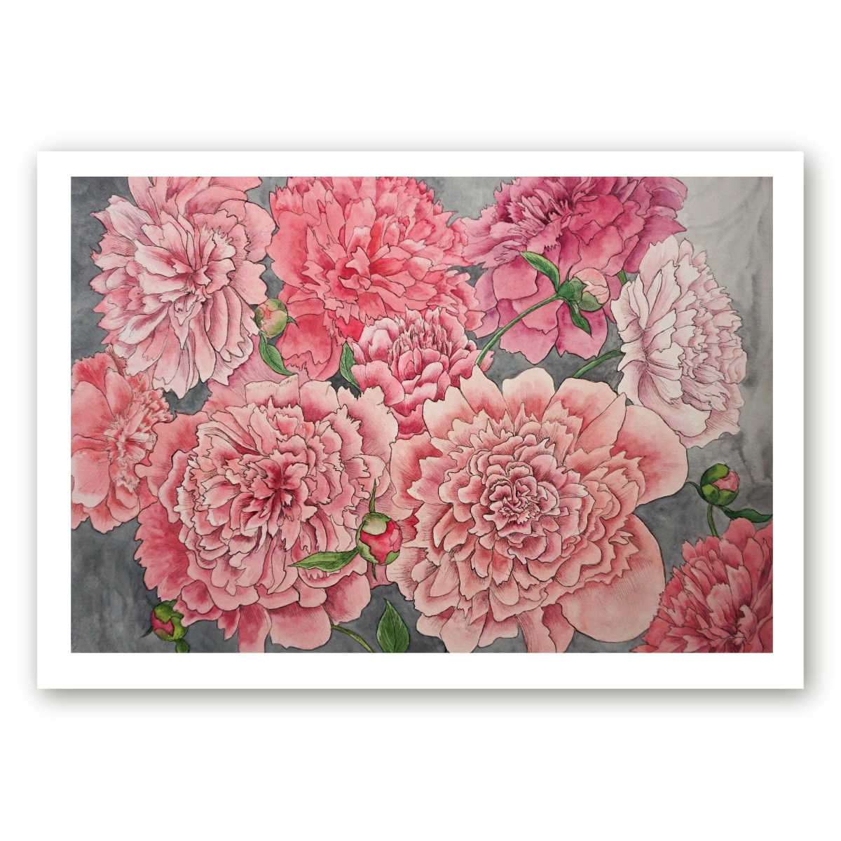 Poster pojengidega kunstnik Maria Välja akvarellmaali põhjal.