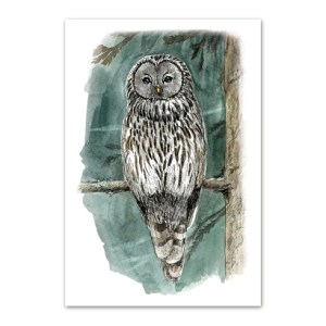 Postkaart illustratsiooniga händkakust