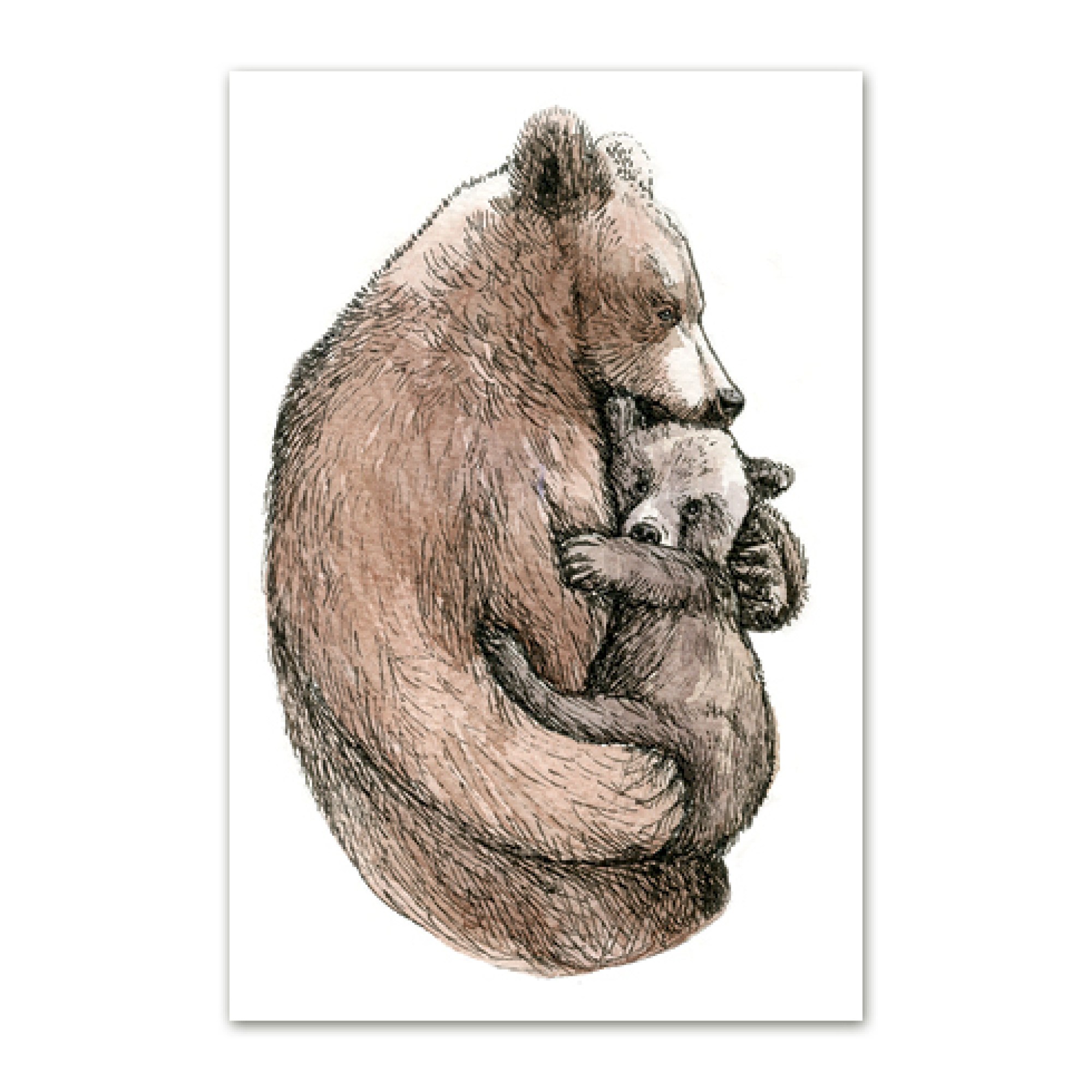 postkaart-pruunkarud2_epoodi