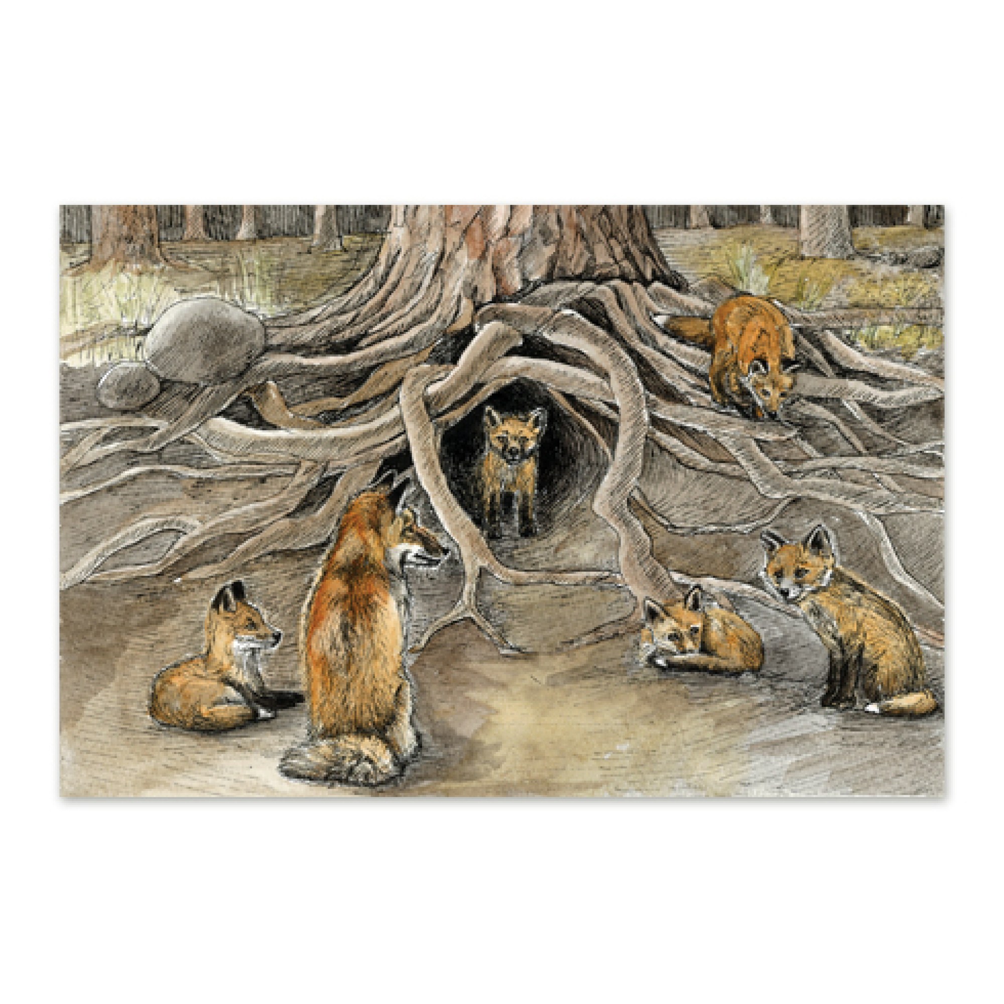 Postkaart illustratsiooniga rebaseperest mängimas koduõuel