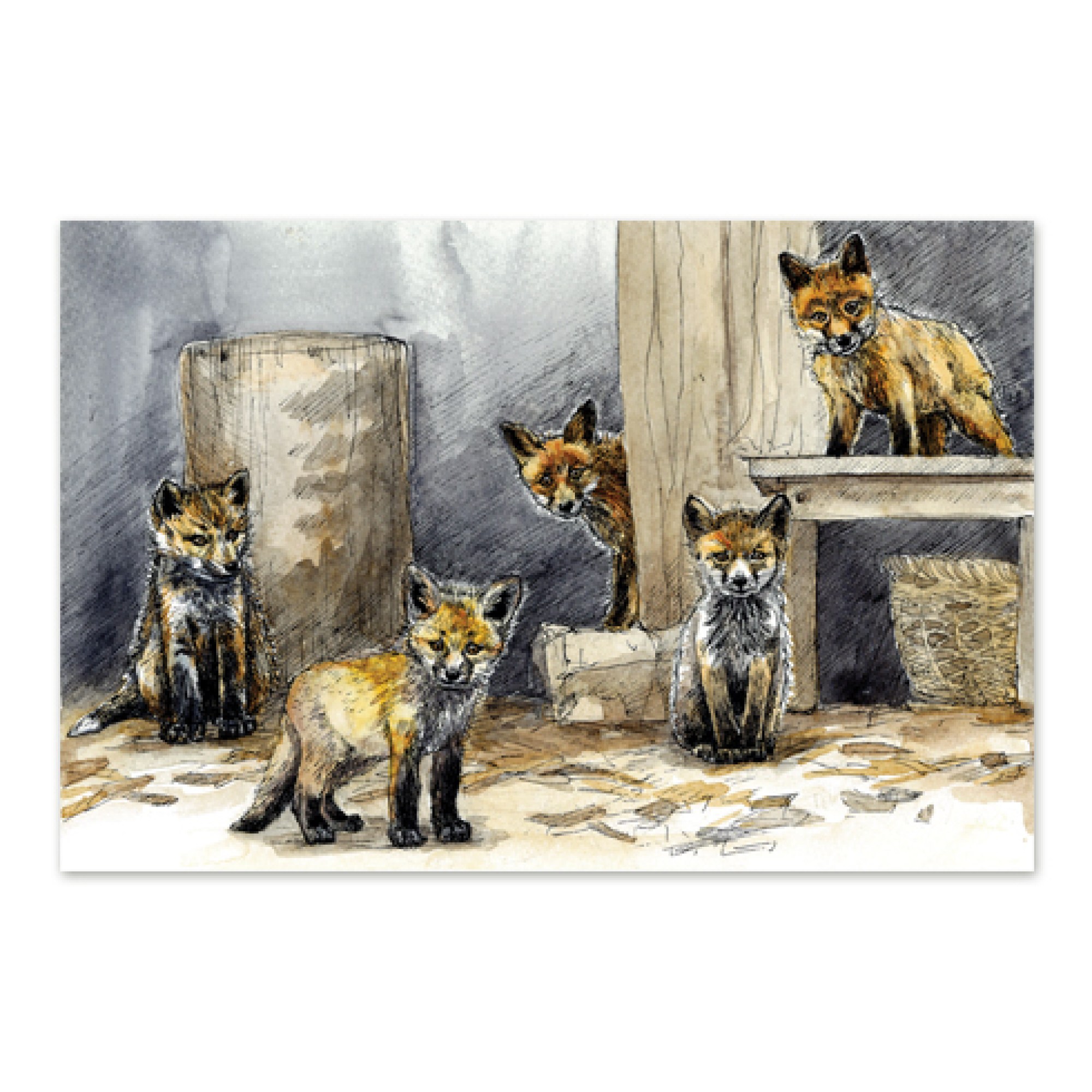 Postkaart illustratsiooniga rebasekutsikatest