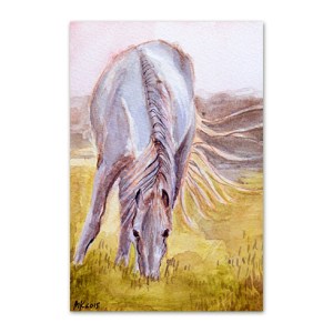 postkaart-valge-hobune_epoodi