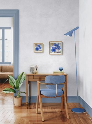 Postrid sinised kevadekuulutajad erinevates suurustes interjööris