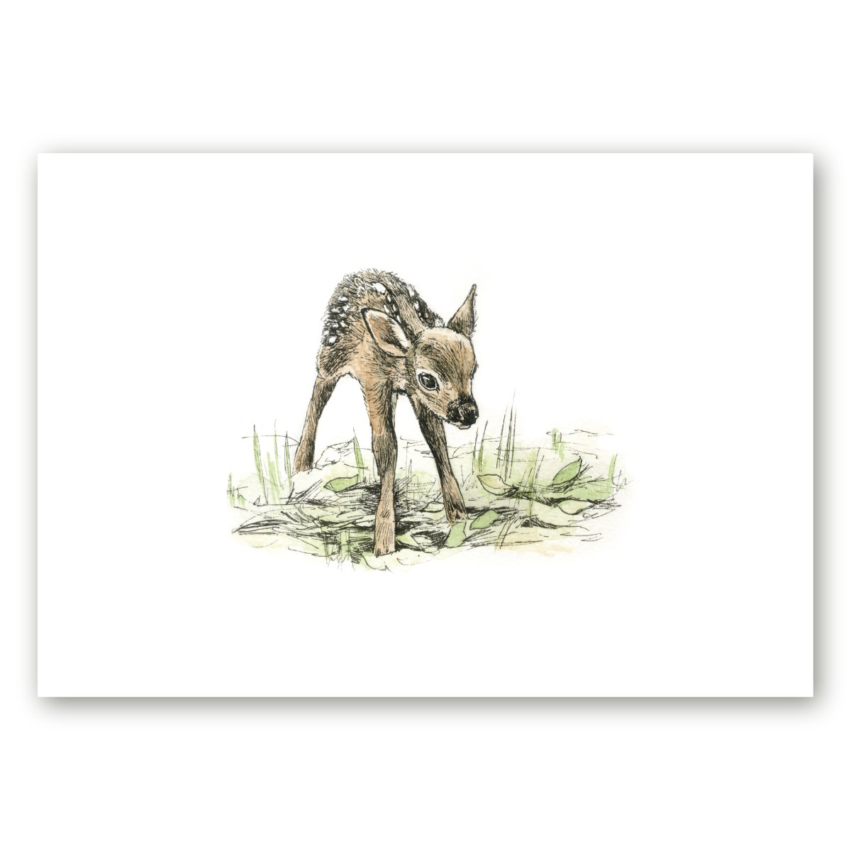 Poster loomaillustratsioonist väikese punahirve vasikaga kunstnik Maria Välja teosest.