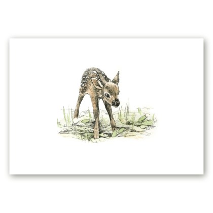 Poster loomaillustratsioonist väikese punahirve vasikaga kunstnik Maria Välja teosest.