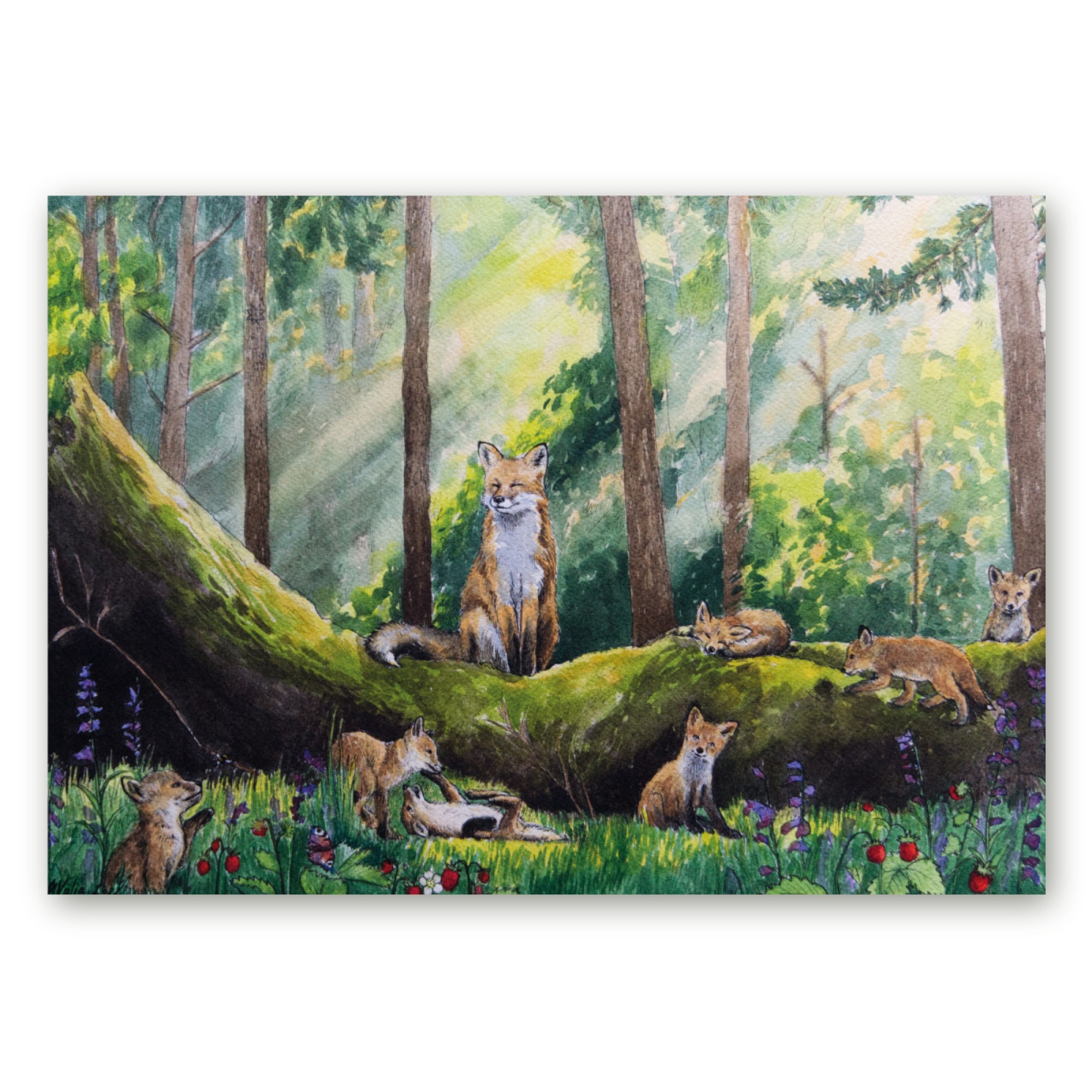 Akvarellmaal rebaseemast ja kutsikatest metsas, Maria Välja loodud loodusillustratsioon, trükitud kunstiposter.