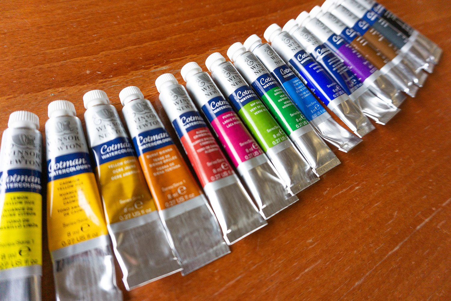 opilase akvarellid winsor & newton cotman