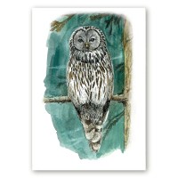 Linnuposter oksal istuvast händkakust, tehtud kunstnik Maria Välja akvarellillustratsiooni põhjal.