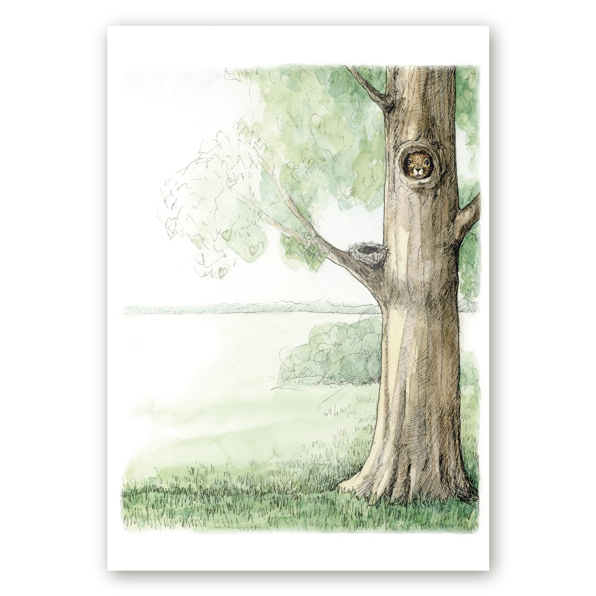 Poster puu otsas pesast välja vaatava oravaga, mis on loodud kunstnik Maria Välja illustratsioonist.