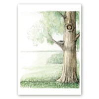 Poster puu otsas pesast välja vaatava oravaga, mis on loodud kunstnik Maria Välja illustratsioonist.