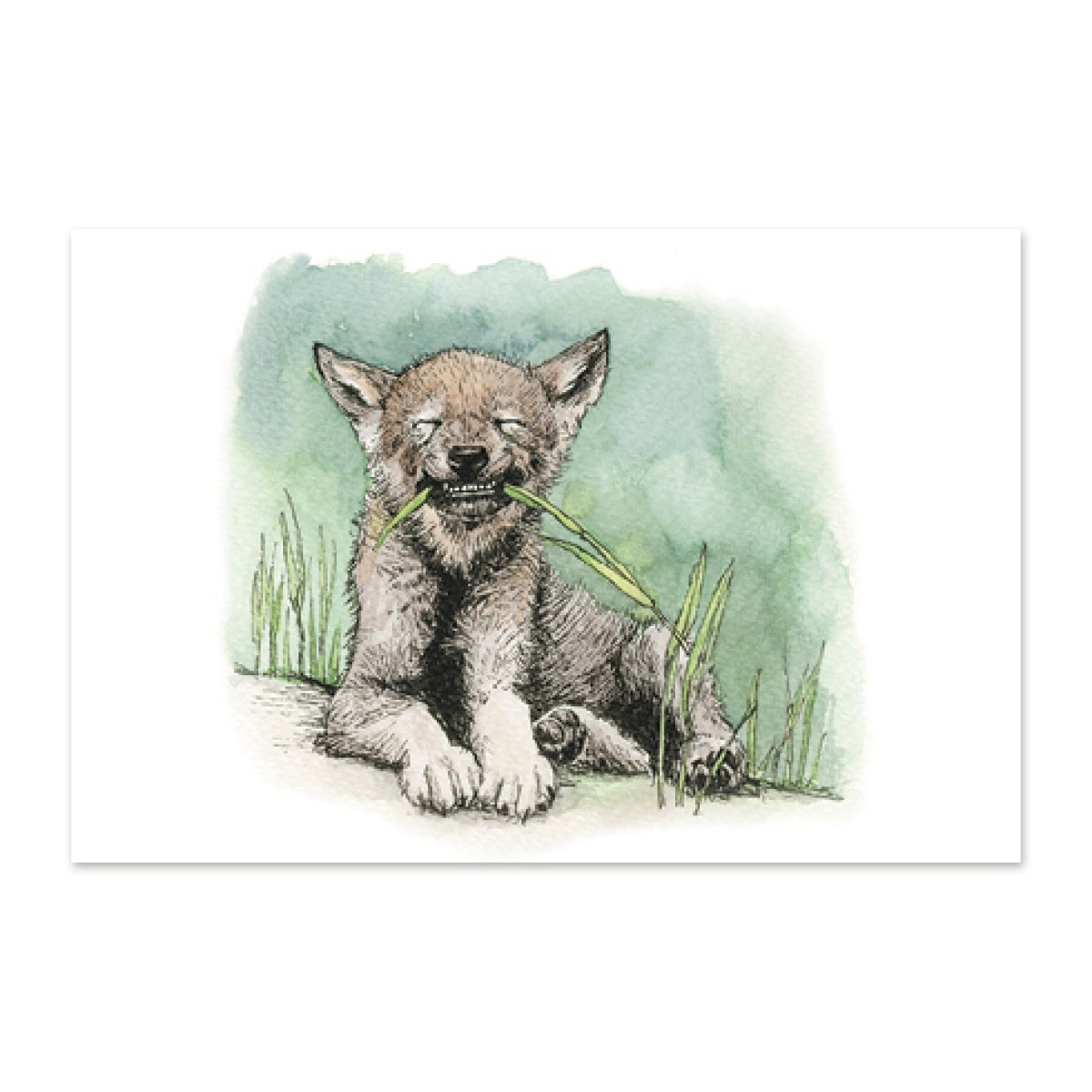 postkaart-euraasia-hunt_epoodi