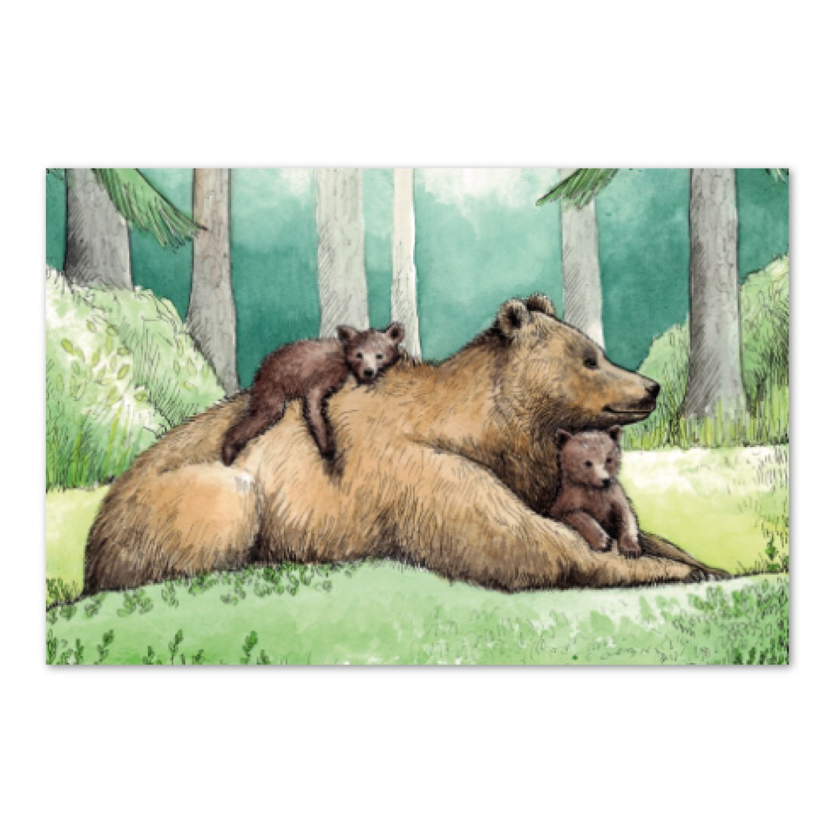 Postkaart - Kolm karu - metsalapsepõlv