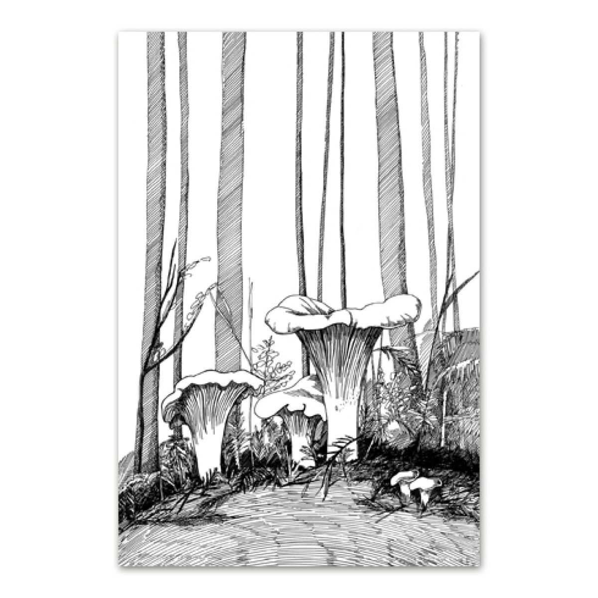 Postkaart tindijoonistusega kukeseeneperest metsas