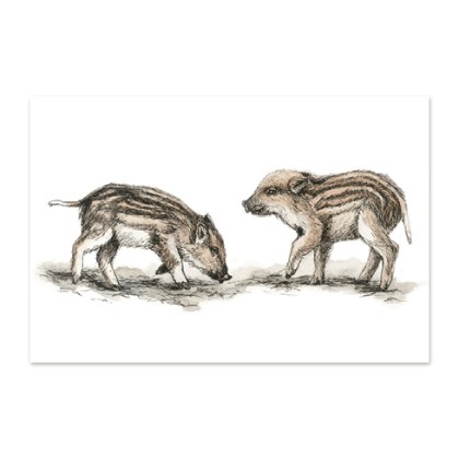 postkaart-metssead_epoodi