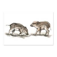 postkaart-metssead_epoodi