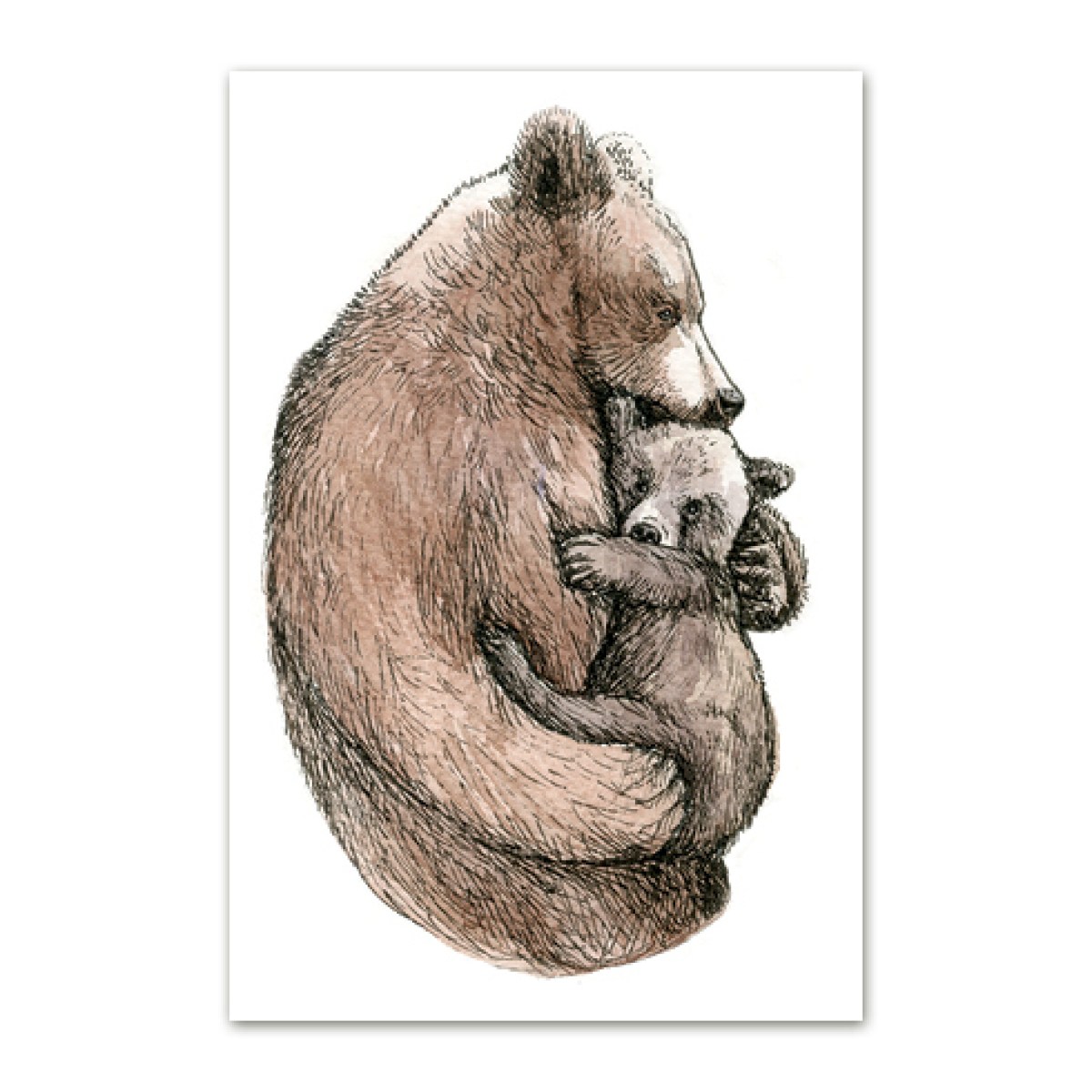 postkaart-pruunkarud2_epoodi