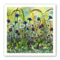 Poster niidutaimedest kunstnik Maria Välja illustratsiooni "Suvine niiduelu" põhjal.